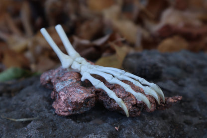 Opossum Paw Articulation with Native Copper Base