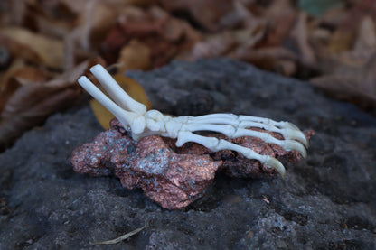 Opossum Paw Articulation with Native Copper Base