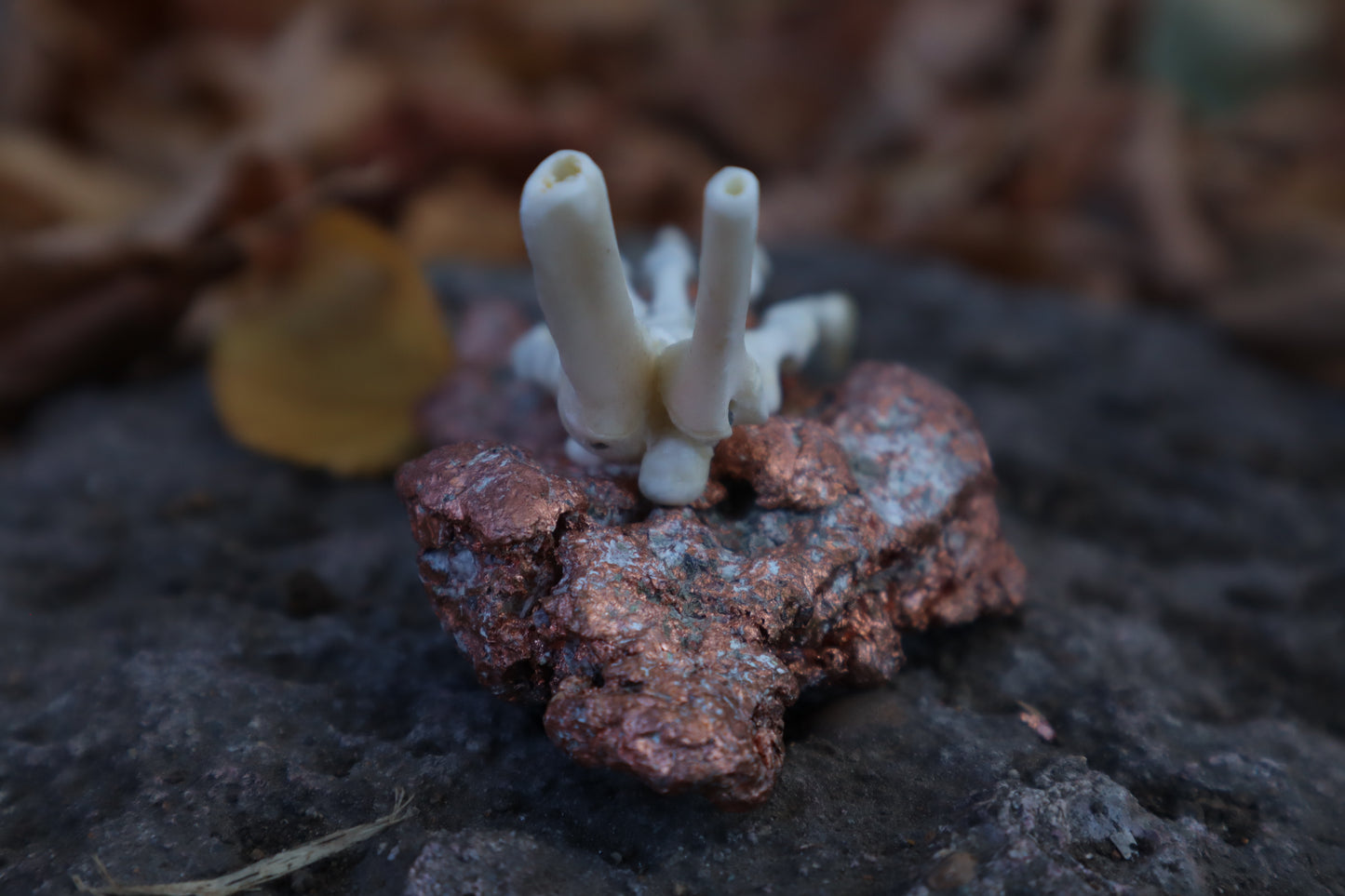 Opossum Paw Articulation with Native Copper Base
