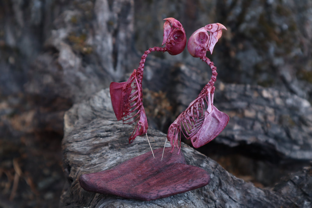 Lovebirds - Articulated Budgerigar Sculpture