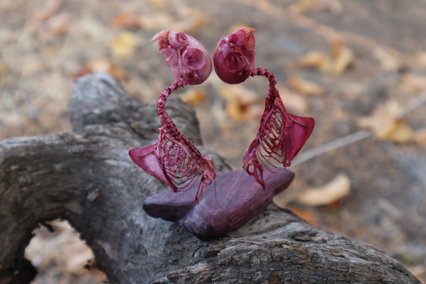Lovebirds - Articulated Budgerigar Sculpture