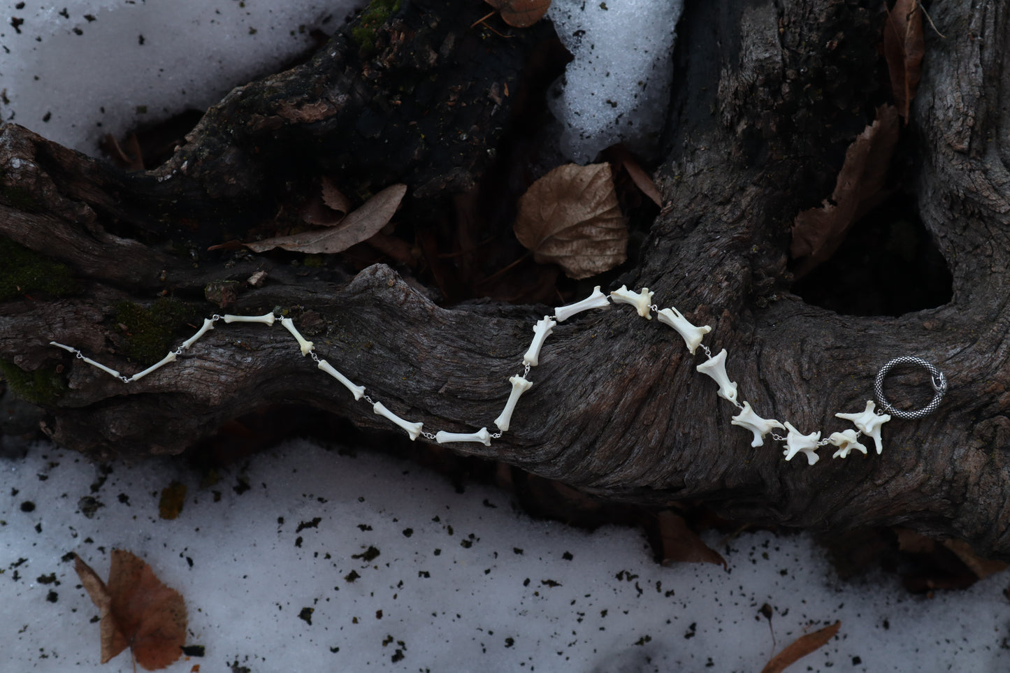 Fluid Red Fox Tail Articulation with Ouroboros Ring