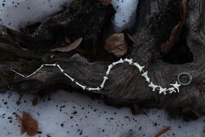 Fluid Red Fox Tail Articulation with Ouroboros Ring
