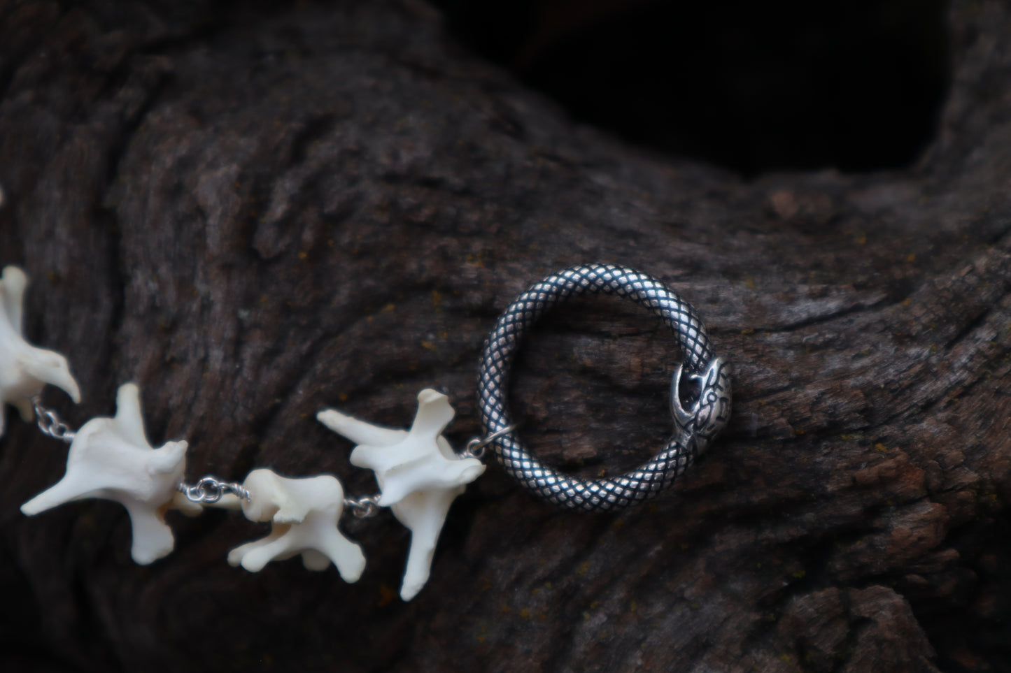 Fluid Red Fox Tail Articulation with Ouroboros Ring