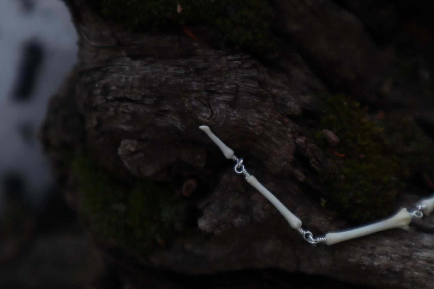 Fluid Red Fox Tail Articulation with Ouroboros Ring