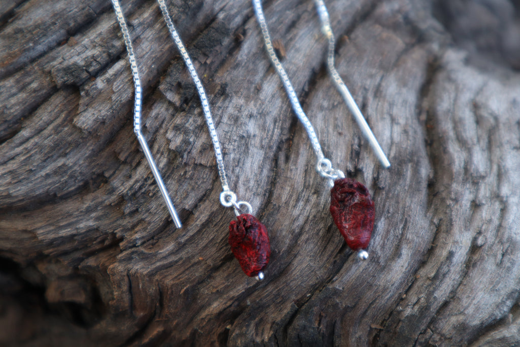 Parakeet Heart Earrings - .925 Silver