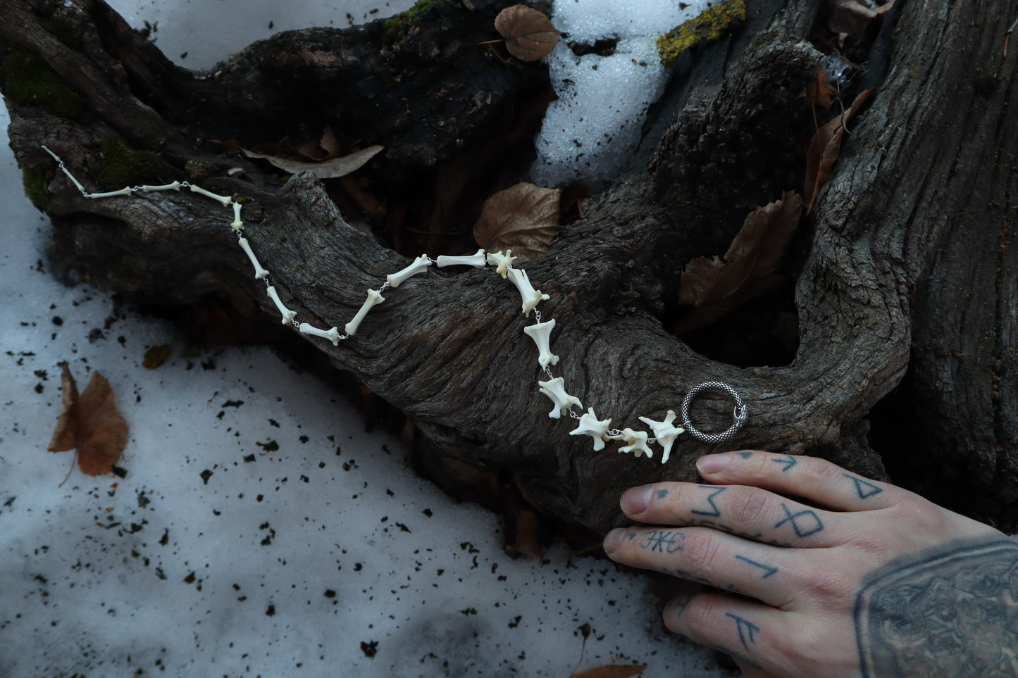Fluid Red Fox Tail Articulation with Ouroboros Ring