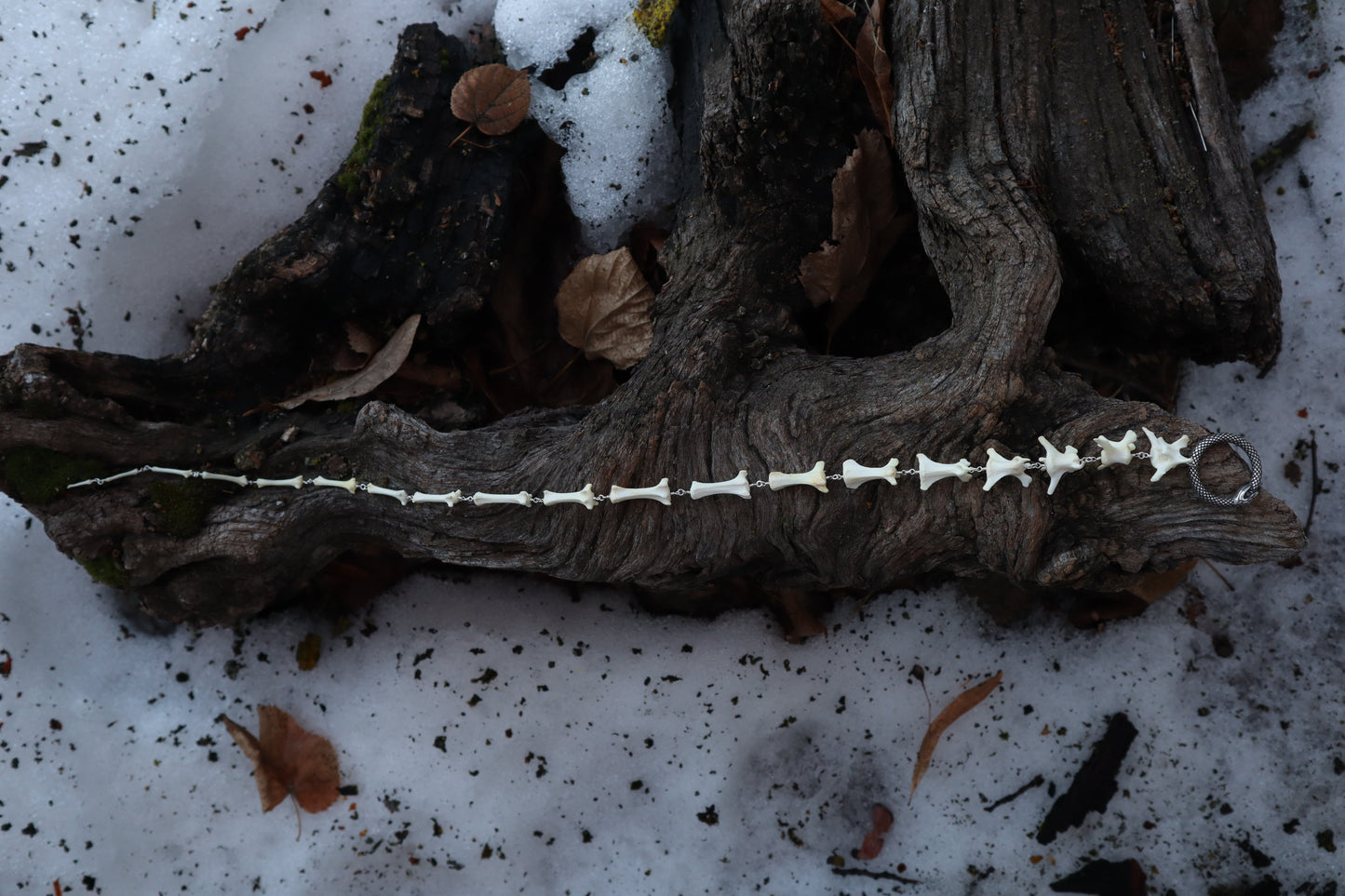 Fluid Red Fox Tail Articulation with Ouroboros Ring