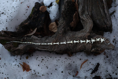 Fluid Red Fox Tail Articulation with Ouroboros Ring