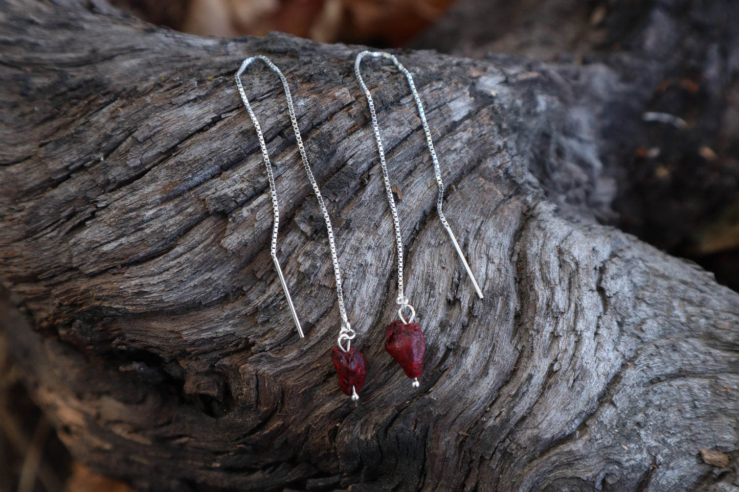 Parakeet Heart Earrings - .925 Silver