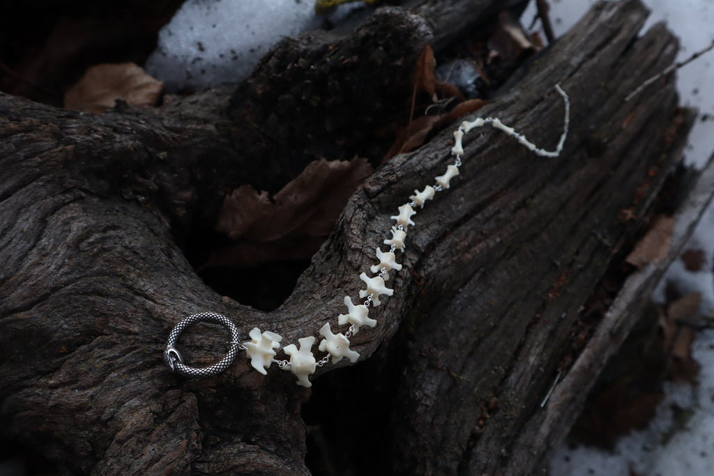Fluid Groundhog Tail Articulation with Ouroboros Ring