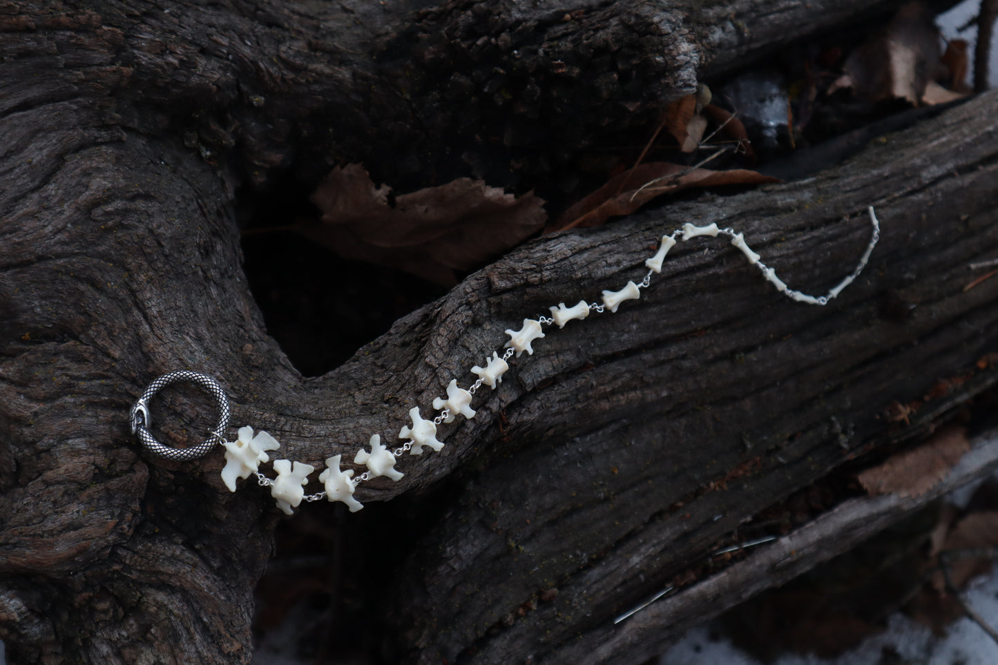 Fluid Groundhog Tail Articulation with Ouroboros Ring