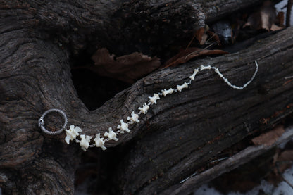 Fluid Groundhog Tail Articulation with Ouroboros Ring