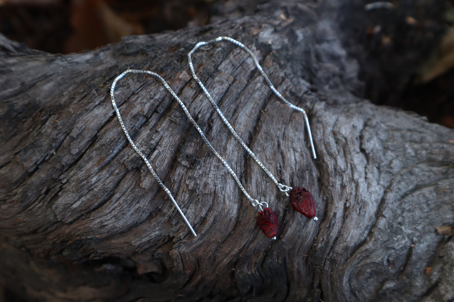 Parakeet Heart Earrings - .925 Silver