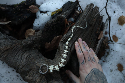 Fluid Groundhog Tail Articulation with Ouroboros Ring
