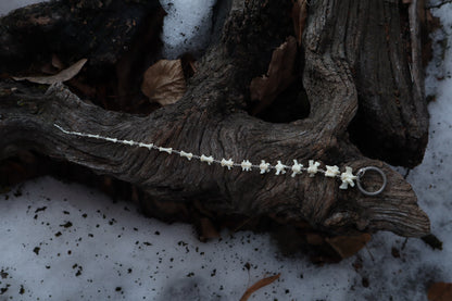 Fluid Groundhog Tail Articulation with Ouroboros Ring