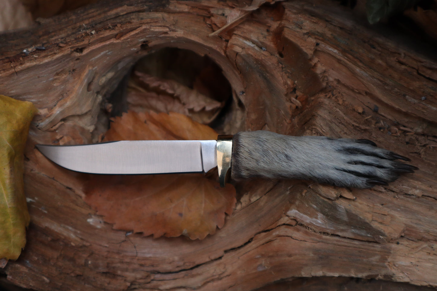 Raccoon Paw Knife