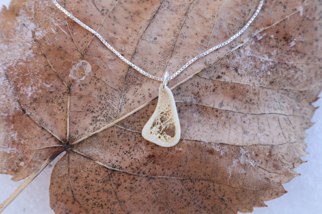 Red Fox Tibia Slice Necklace