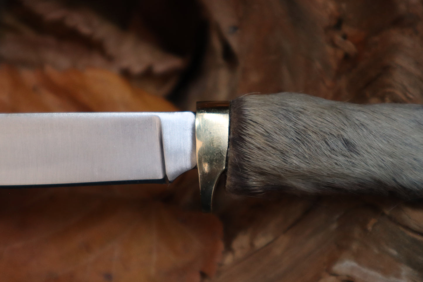 Raccoon Paw Knife