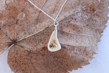 Red Fox Tibia Slice Necklace