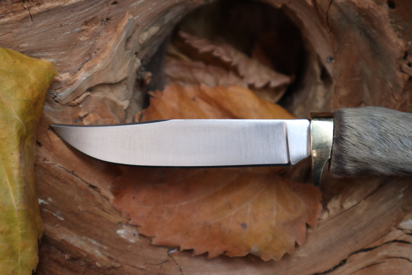 Raccoon Paw Knife