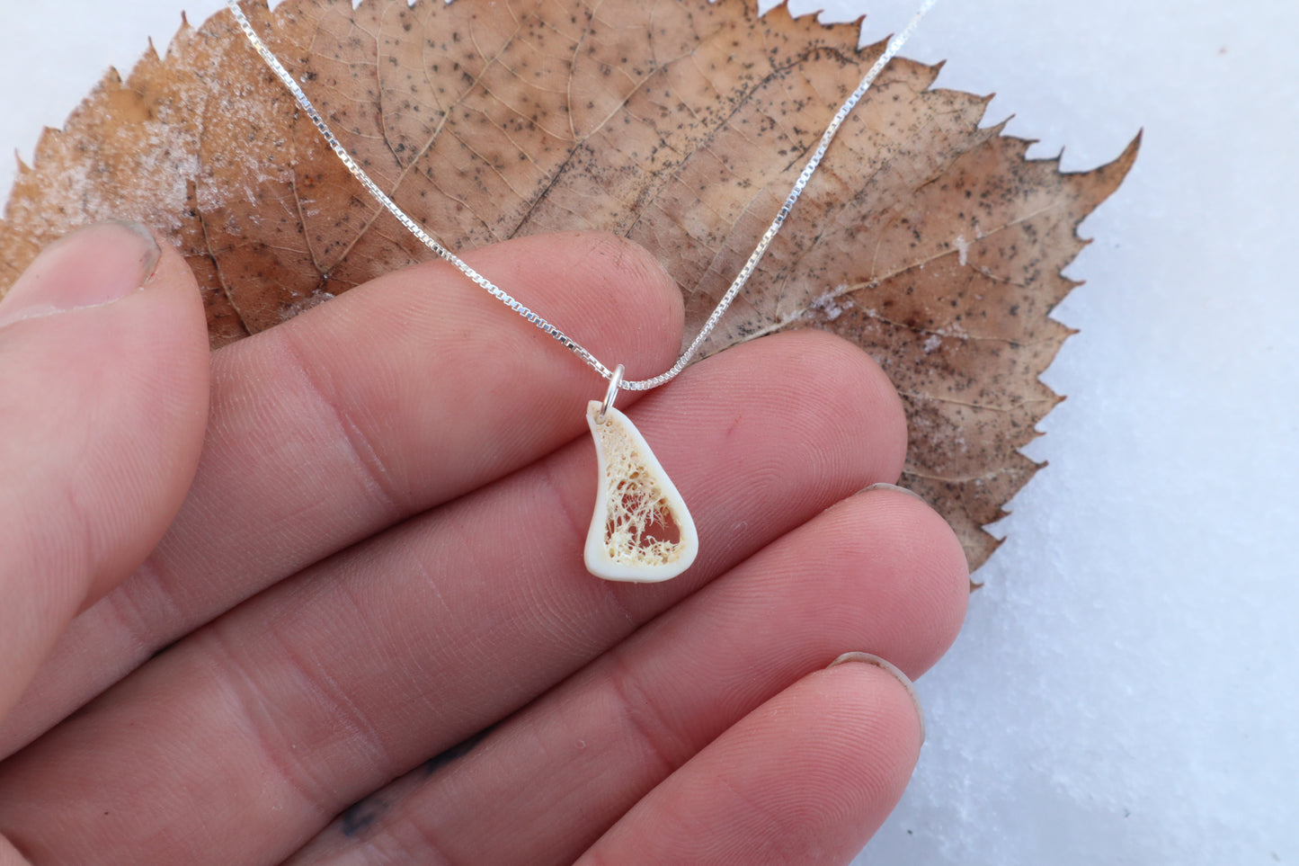 Red Fox Tibia Slice Necklace