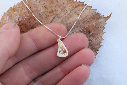 Red Fox Tibia Slice Necklace
