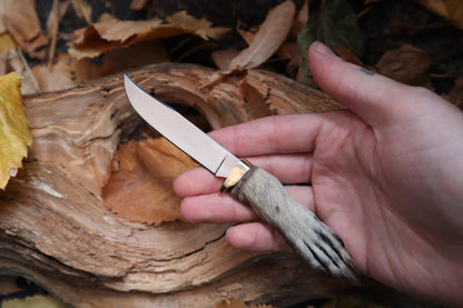 Raccoon Paw Knife