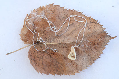 Red Fox Tibia Slice Necklace
