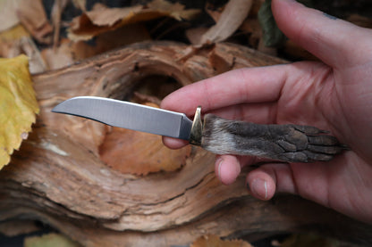 Raccoon Paw Knife