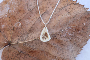 Red Fox Tibia Slice Necklace