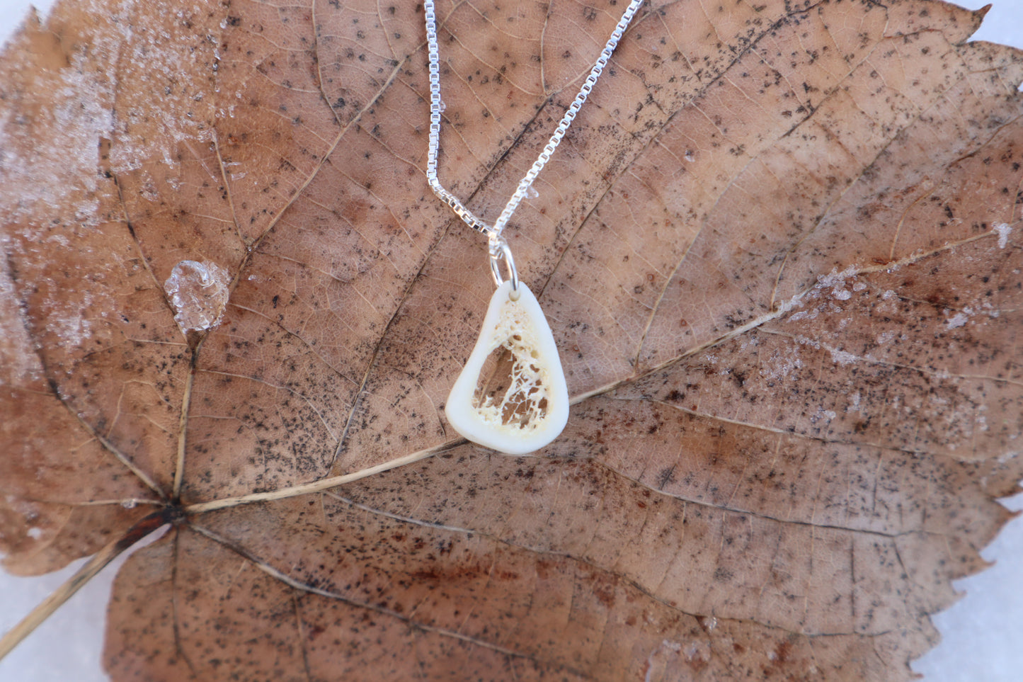 Red Fox Tibia Slice Necklace