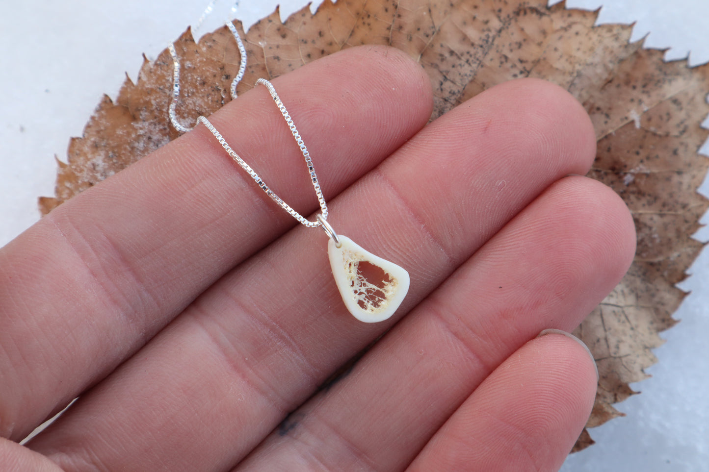 Red Fox Tibia Slice Necklace