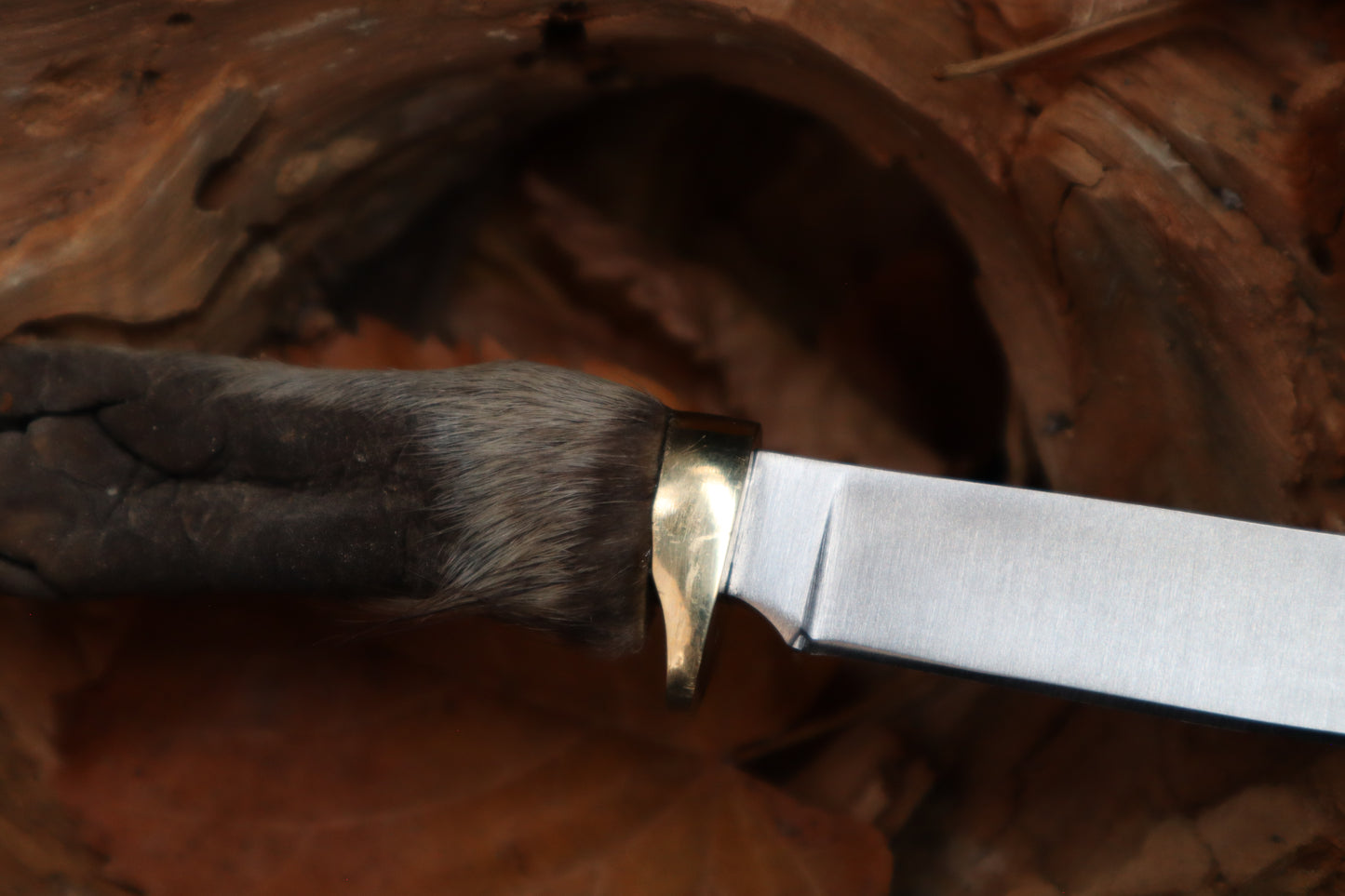Raccoon Paw Knife