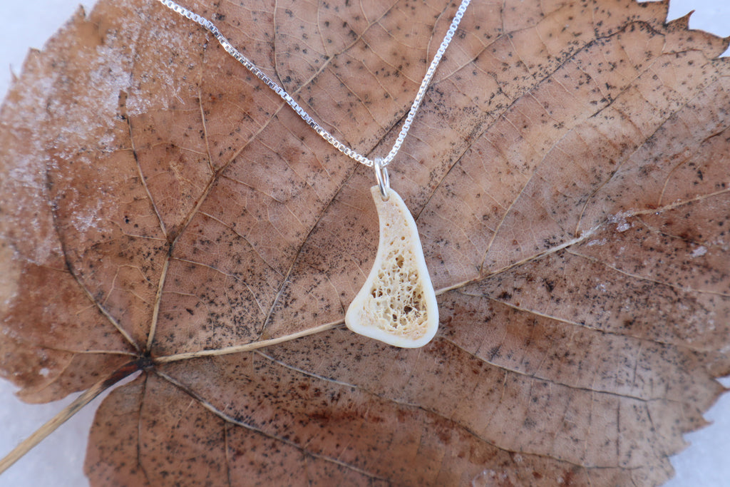 Red Fox Tibia Slice Necklace