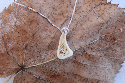 Red Fox Tibia Slice Necklace