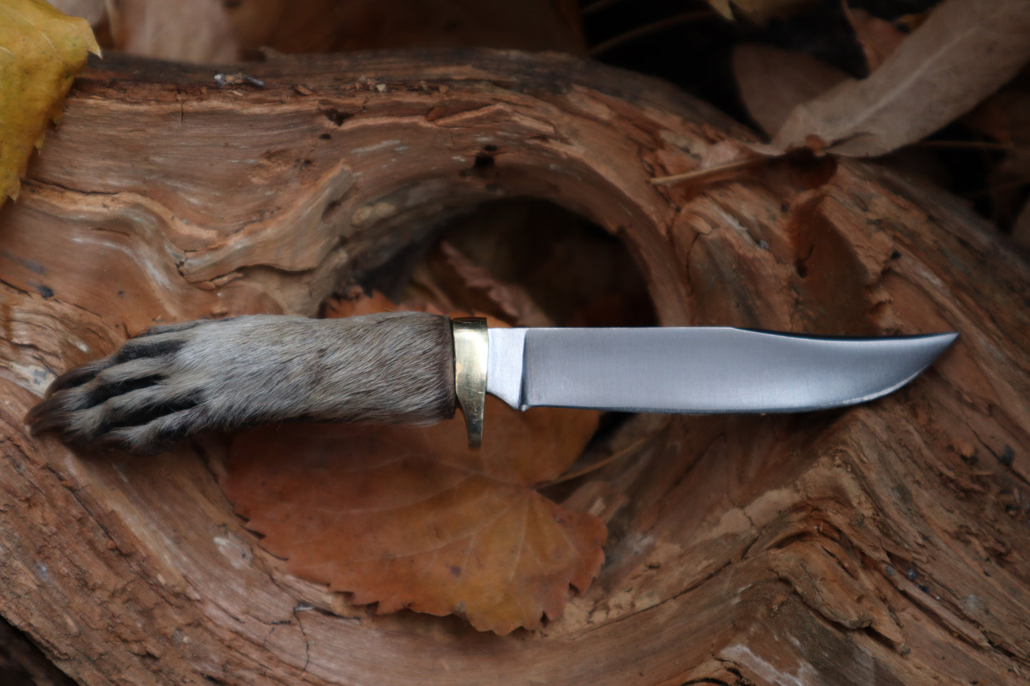 Raccoon Paw Knife