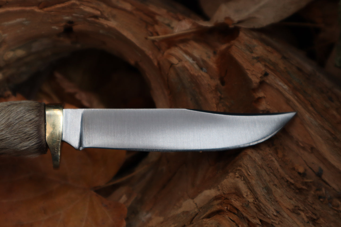 Raccoon Paw Knife