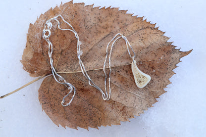 Red Fox Tibia Slice Necklace