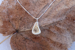 Red Fox Tibia Slice Necklace