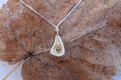 Red Fox Tibia Slice Necklace