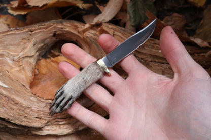 Raccoon Paw Knife