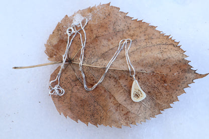Red Fox Tibia Slice Necklace
