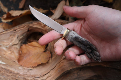 Raccoon Paw Knife