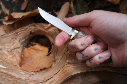Raccoon Paw Knife