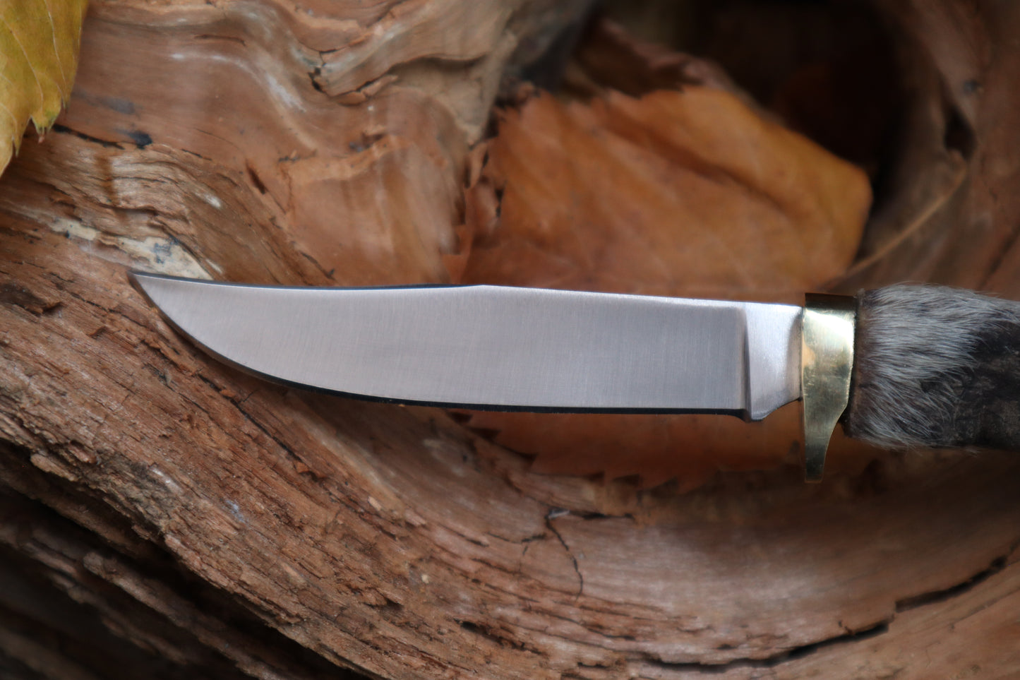 Raccoon Paw Knife