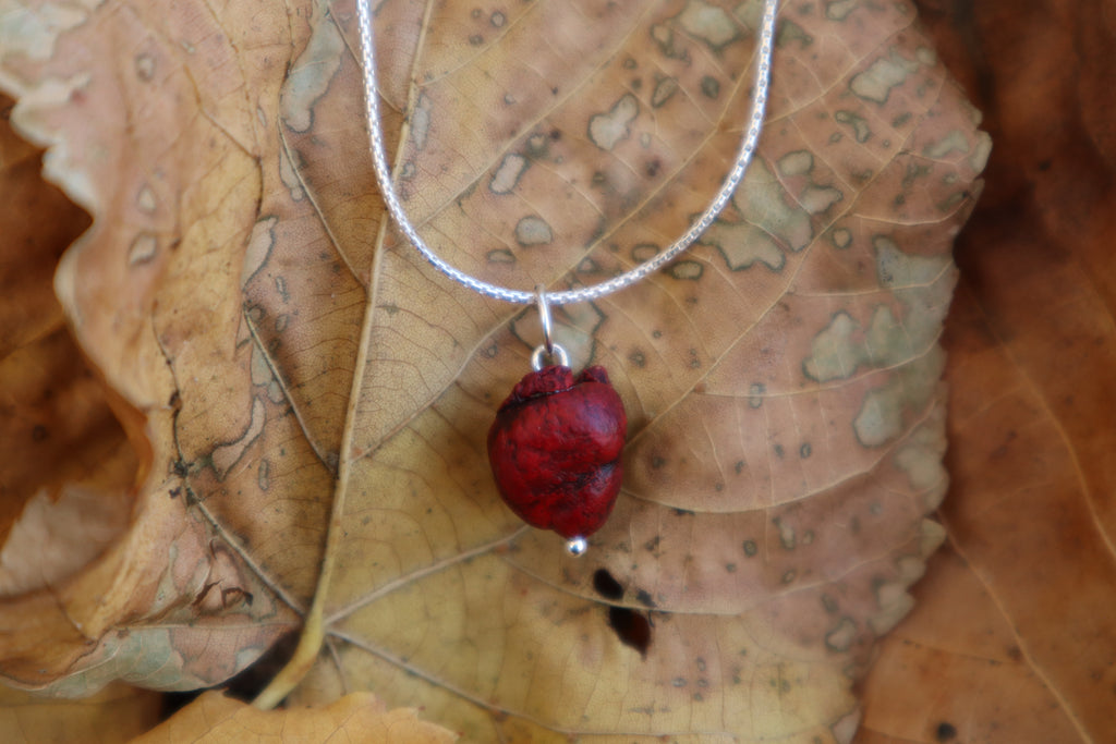 Stillborn Chihuahua Heart Necklace - .925 Silver