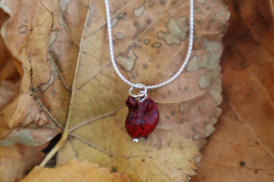 Stillborn Chihuahua Heart Necklace - .925 Silver
