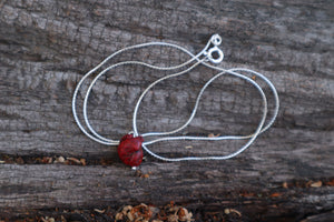Stillborn Chihuahua Heart Necklace - .925 Silver