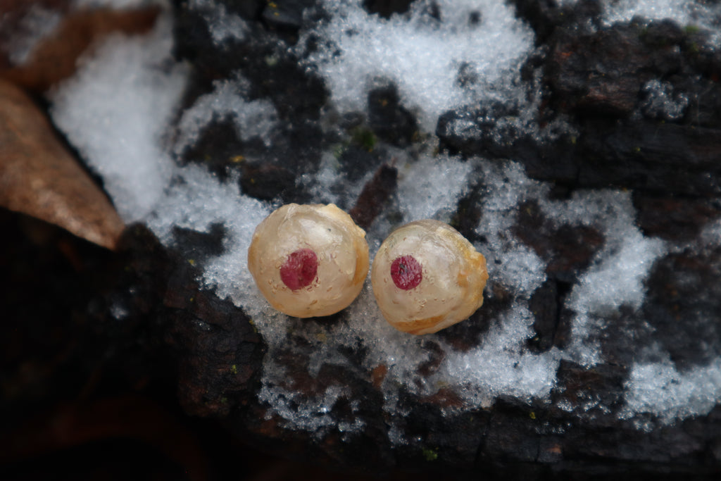 Crystal Red Fox Eyes